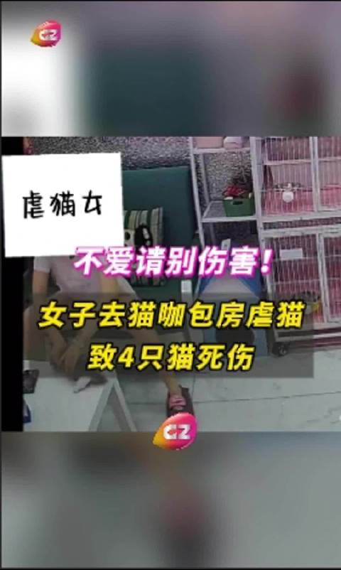 第370页