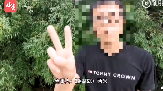 第364页