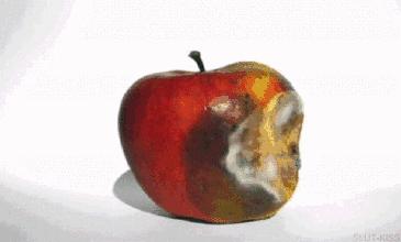 游戏专题 第57页